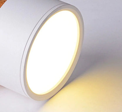 Wood Accent Ceiling Light