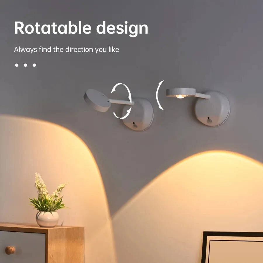 Motion Sensor Picture Light
