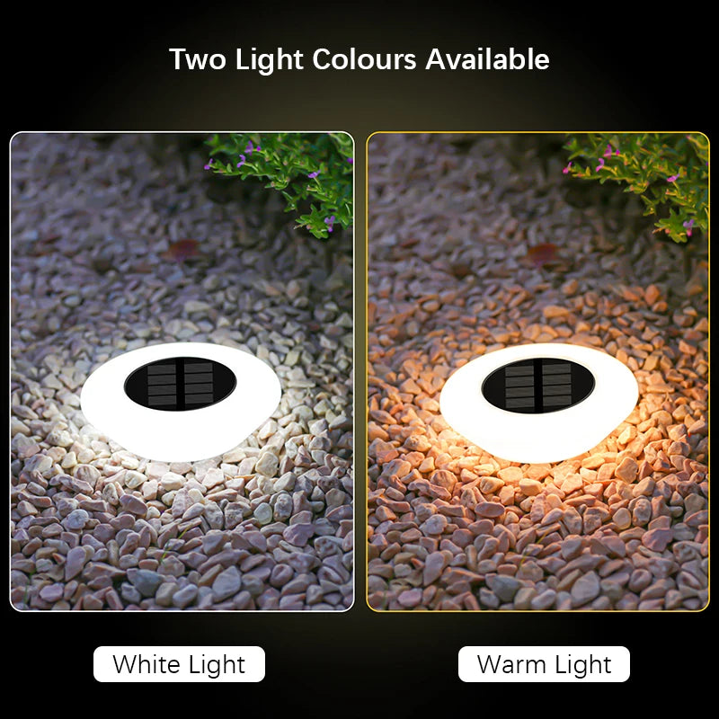 Solar Pathway Lights