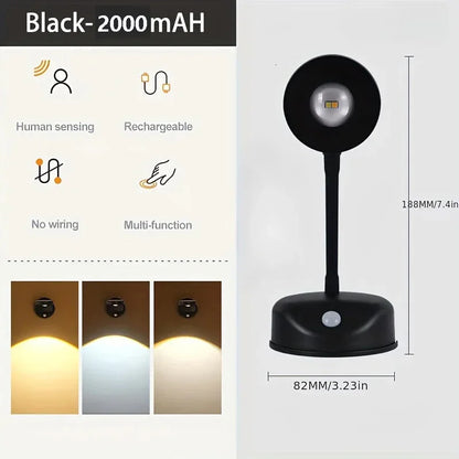 Motion Sensor Picture Light