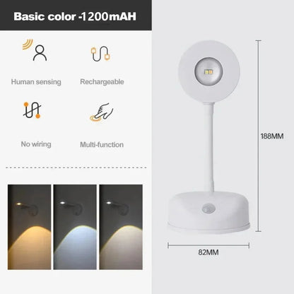 Motion Sensor Picture Light