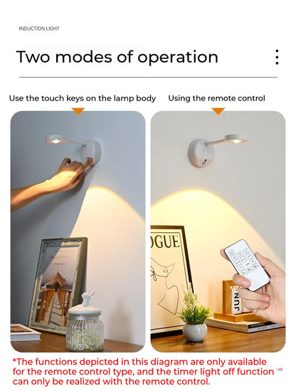 Motion Sensor Picture Light