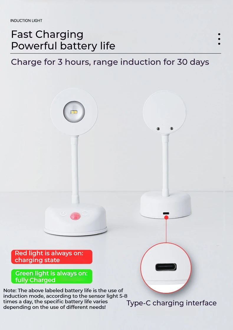 Motion Sensor Picture Light