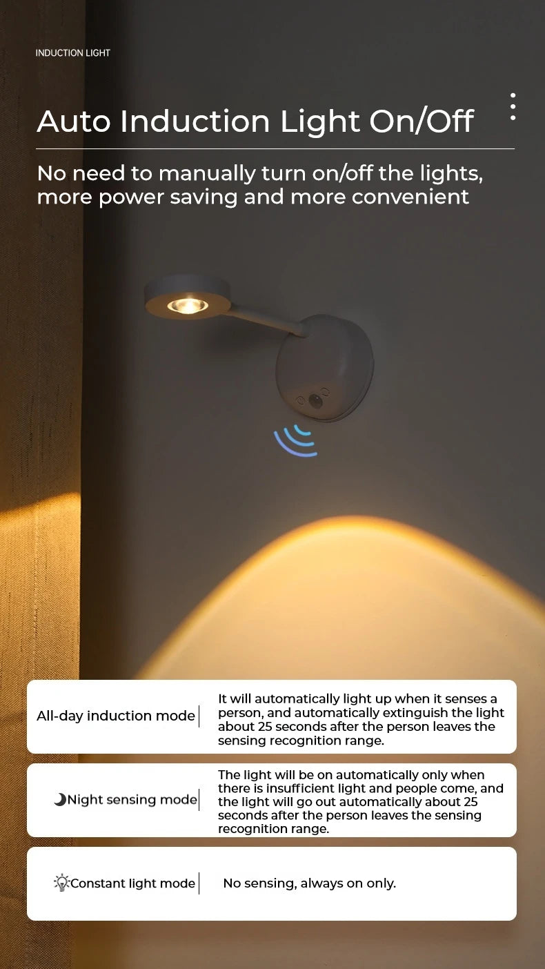 Motion Sensor Picture Light