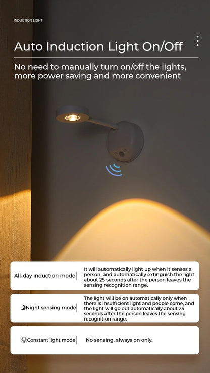 Motion Sensor Picture Light