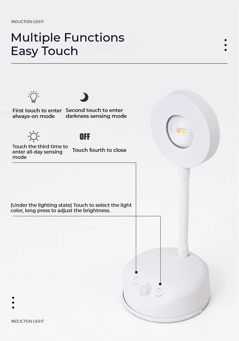 Motion Sensor Picture Light