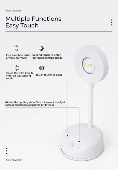 Motion Sensor Picture Light