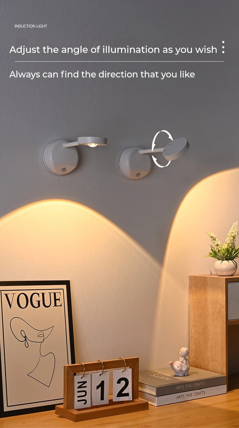 Motion Sensor Picture Light
