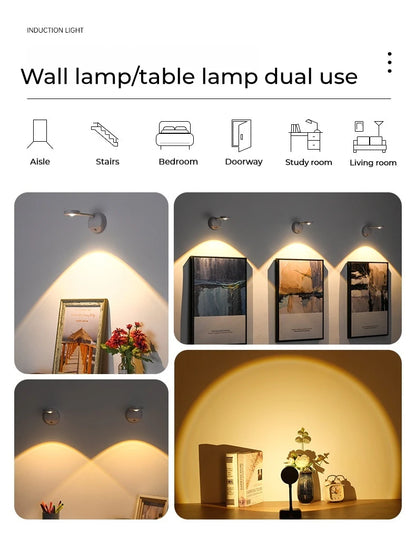Motion Sensor Picture Light