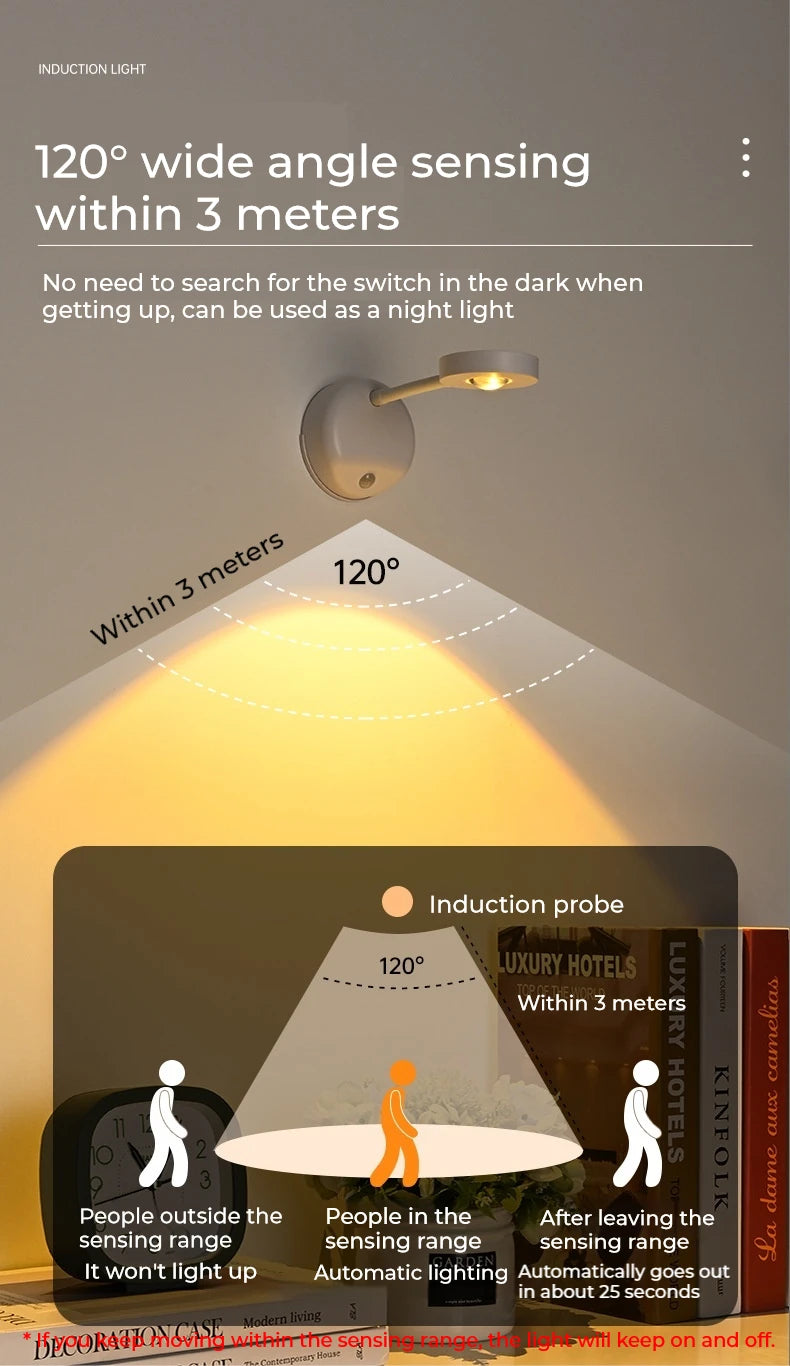 Motion Sensor Picture Light