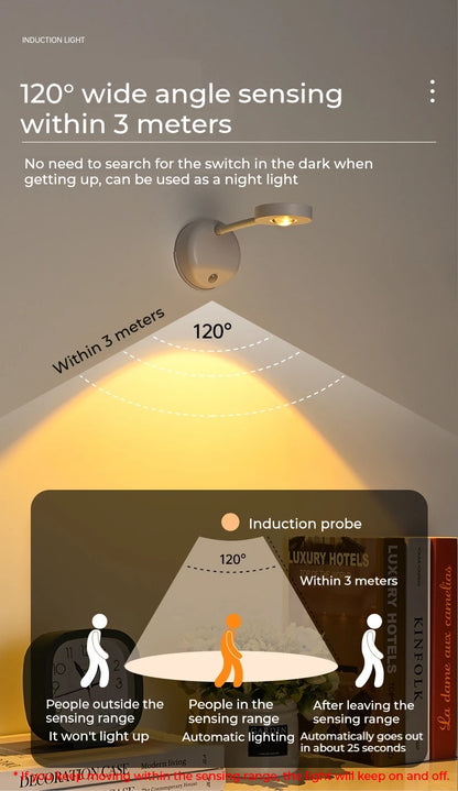 Motion Sensor Picture Light