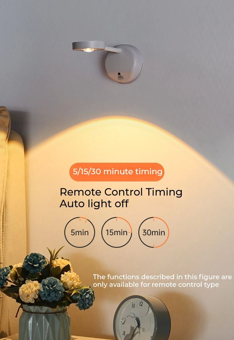 Motion Sensor Picture Light