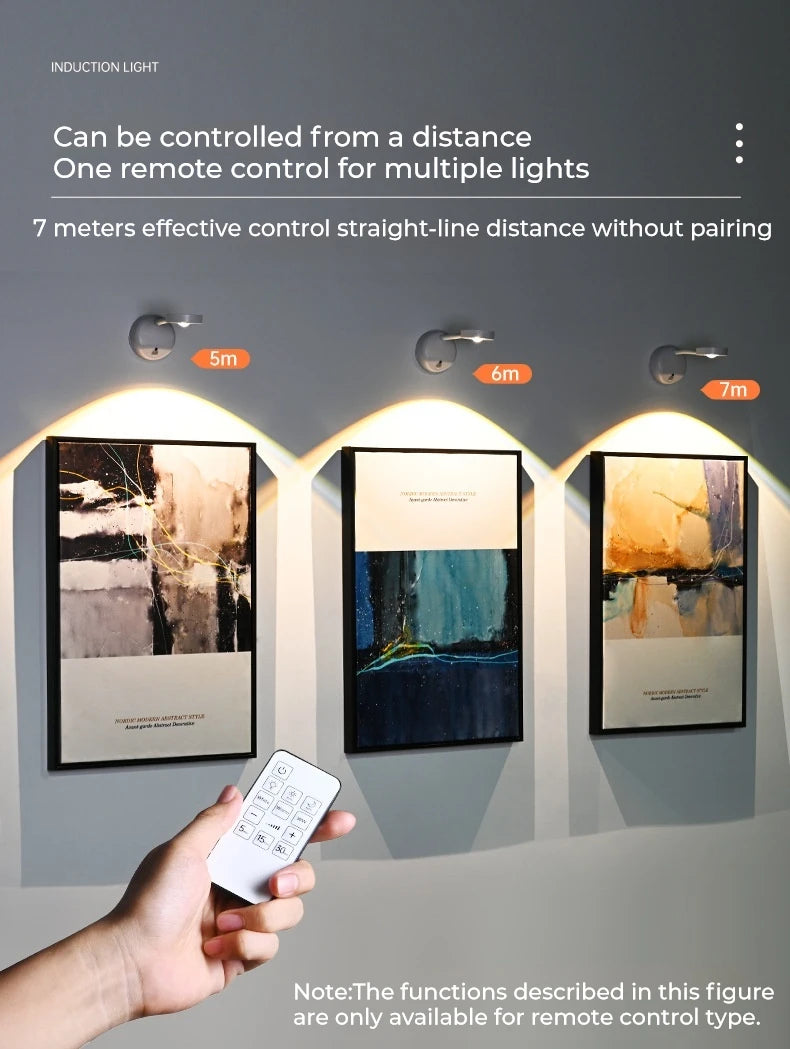 Motion Sensor Picture Light