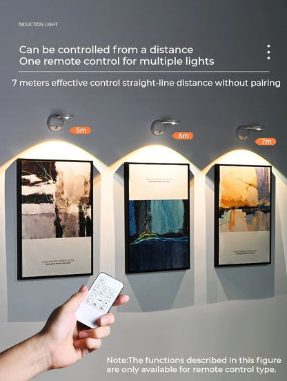 Motion Sensor Picture Light