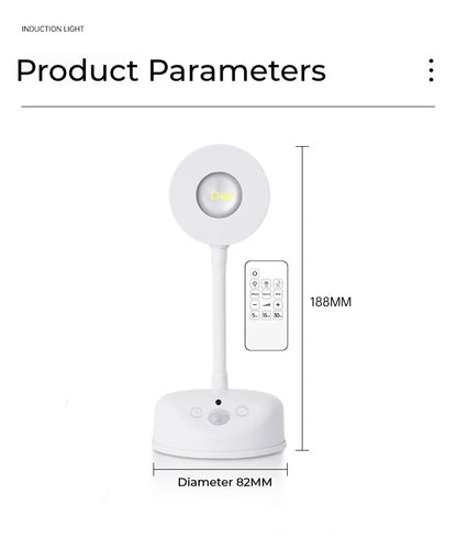 Motion Sensor Picture Light