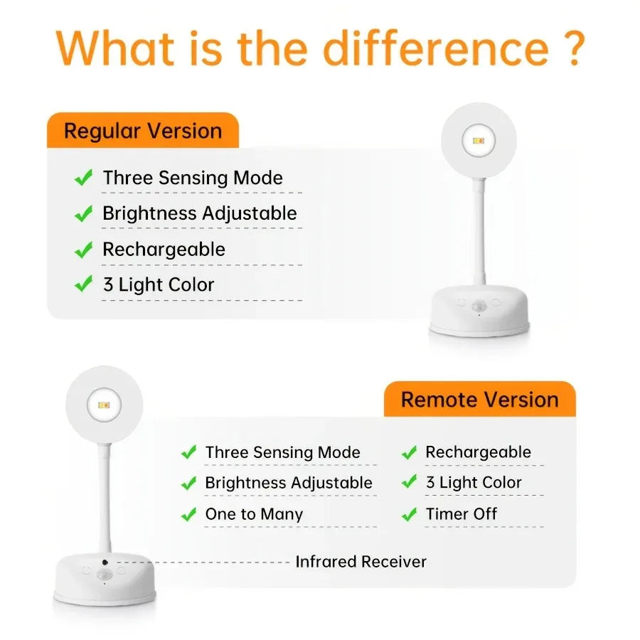 Motion Sensor Picture Light