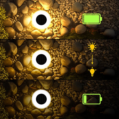 Solar Pathway Lights