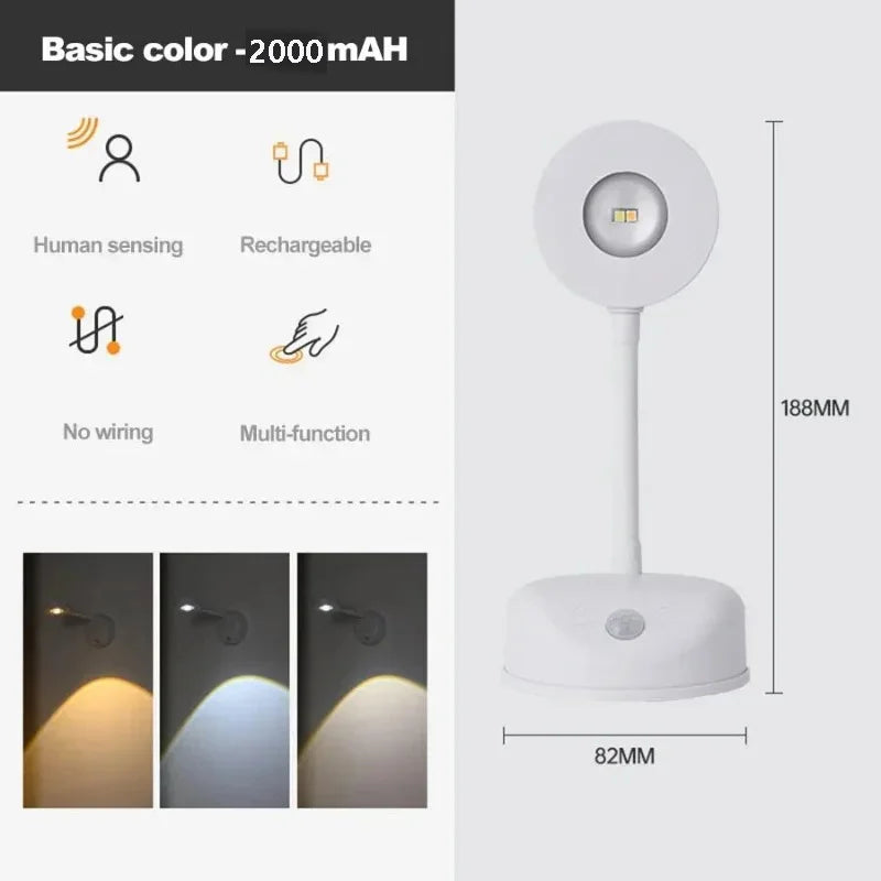 Motion Sensor Picture Light