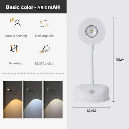 Motion Sensor Picture Light