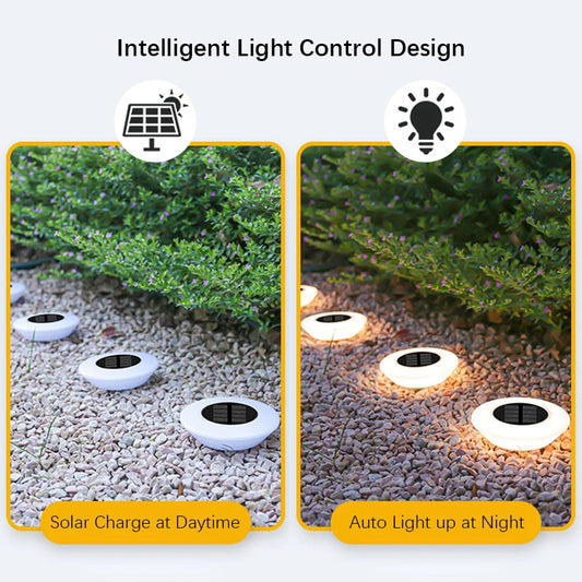 Solar Pathway Lights