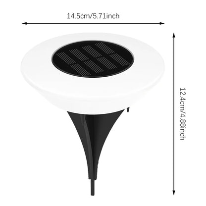 Solar Pathway Lights